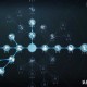 水晶球怎么开第五人格，水晶球 触发，水晶球