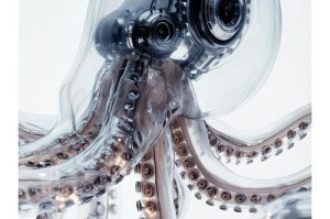 深海触手：神秘海洋生物的探索与发现