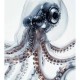 深海触手：神秘海洋生物的探索与发现