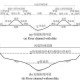 水域的定义与范围解析