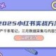 《苍龙劫》红骑少侠2025数据实战指南