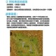 深度剖析：魔兽争霸职业联赛地图的战术与策略