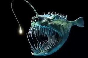 深海怪鱼奇观：10种最奇特鱼类图片大赏