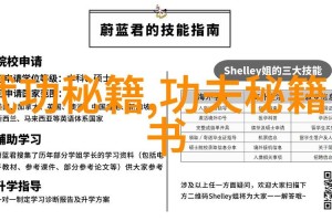 深度开发1v3实战技巧：高效提升开发能力