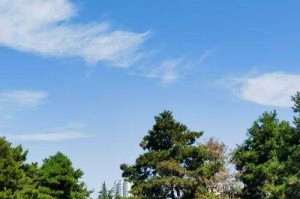 清空万里无云 碧空如洗映晴川