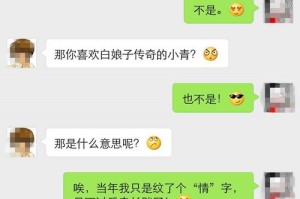 深度对话视频素材：高质量交流内容精选