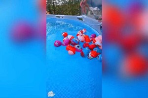 清洁游泳池蛋仔派对 清洁 游泳池，鸡蛋