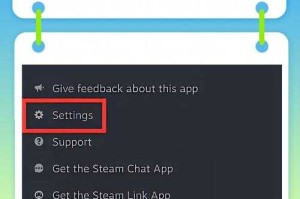 手机Steam设置中文教程：简单几步轻松切换语言