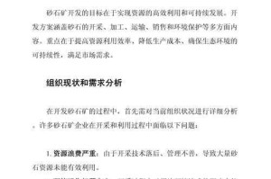 红石PAMA项目优化策略：提升效率与性能的关键方案