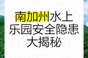 水上乐园潜在致命风险警示录，水上乐园致命隐患全解析，这份安全警示必须知道！