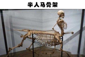 人马兽真实存在吗？揭秘半人马传说与科学真相