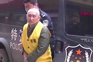 陈峰案件的基本事实与审判过程，陈峰案件，基本事实梳理与审判程序全解析