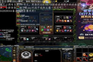 深度解析：dota职业辅助的战术运用