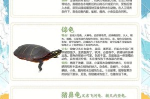 深度解析《热血江湖》宝物龟的属性助你在游戏中占据优势