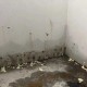 150平地下室装修发霉问题全解析，150平地下室装修发霉难题，专业解决方案与防霉全攻略