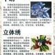 泰莎的绣感：1986年经典刺绣艺术解析