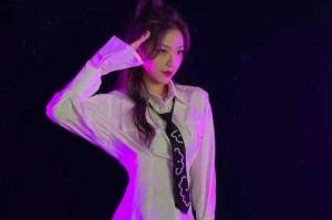 清风王者荣耀解说员 解说，观众 解说员