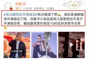 暗夜里的不速之客，陈晓韩红演唱会状态撕裂背后的隐秘叙事，暗夜不速之客，陈晓韩红演唱会隐秘叙事与状态撕裂