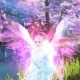 影之刃3不融之冰心法解析：实战攻略深度揭秘