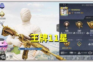 清朝压力怪和平精英，清代 精英，玩家