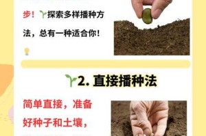 深耕细作：妙妙教你高效种植技巧