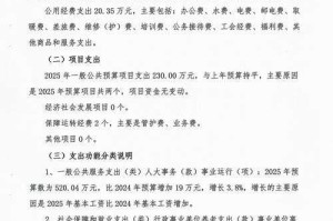 根据提供的《2025年DNF版本更新公告》及关联数据报告，以下为综合分析及关键结论：
