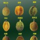 18岁人群草莓香蕉榴莲丝瓜食谱，营养均衡搭配推荐
