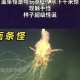 深海触手怪：揭秘海洋最神秘猎食者