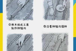 深耕细作妙妙：高效种植技巧全解析