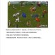 快速上手攻略：《魔法门之英雄无敌》新手玩家教程