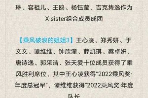 如何解读2008年选秀背后的故事？如何看选秀历程影响艺人发展？