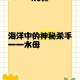 深海鬼水母：神秘性格与生存智慧揭秘