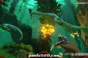 深海迷航：探索未知海底世界的终极冒险