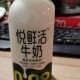 清晨牛奶壶装满新鲜营养的秘诀