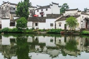 淳朴乡村生活：自然与传统的完美融合