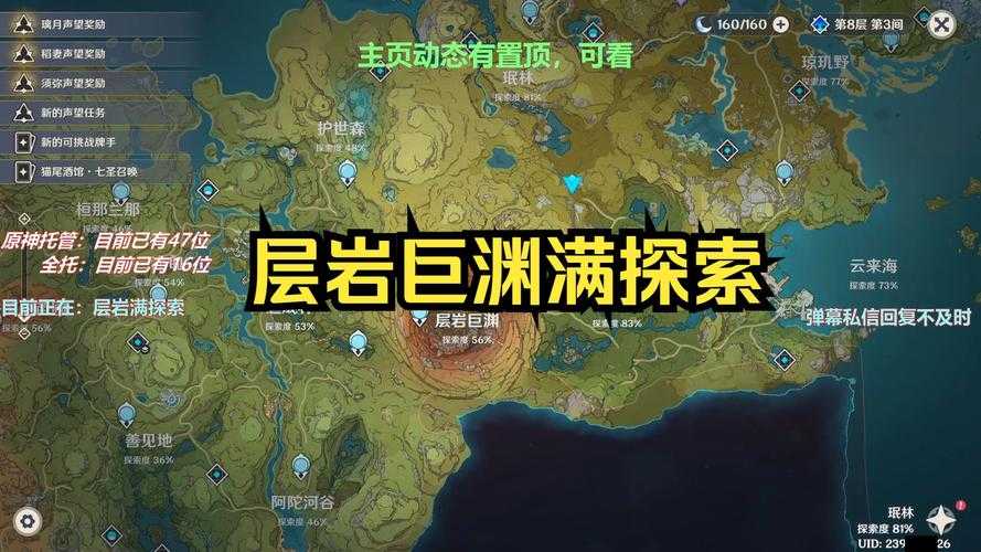 以下是对《原神》层岩巨渊攻略文档的专业分析及优化建议：