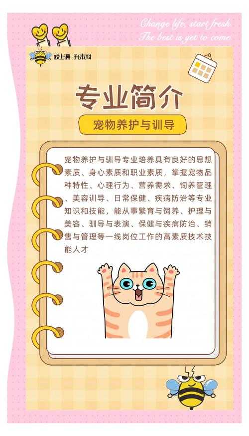 如何合理分配宠物修为点数,提升宠物实力?