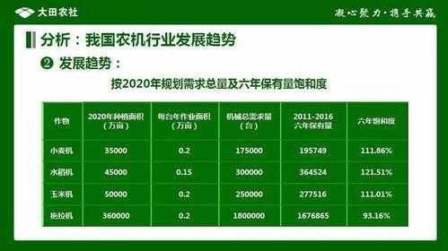 精灵生态与文明2025年度观察