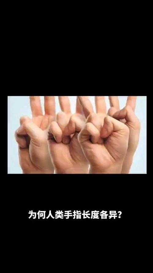单手还是双手?揭秘异人的操作之谜