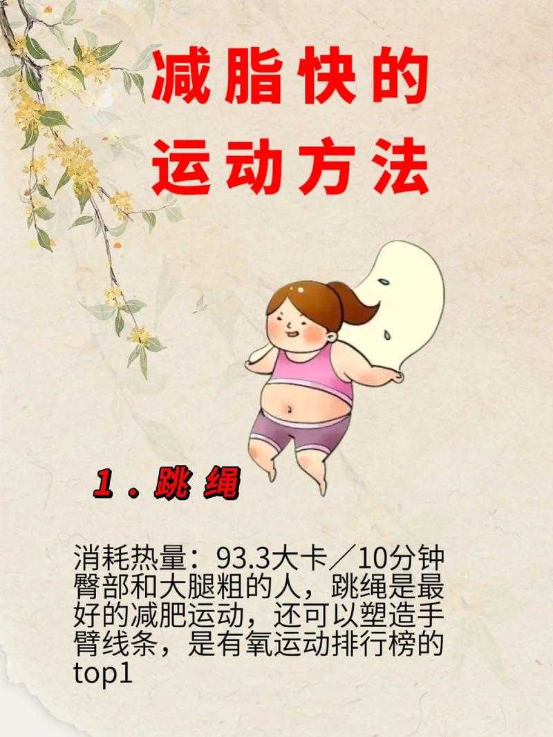 如何有效进行健康减肥？通过科学的饮食结合运动，实现理想的体重管理