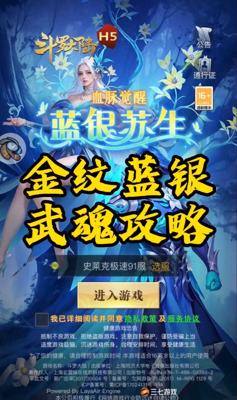 2025年唐昊魂环搭配全解析