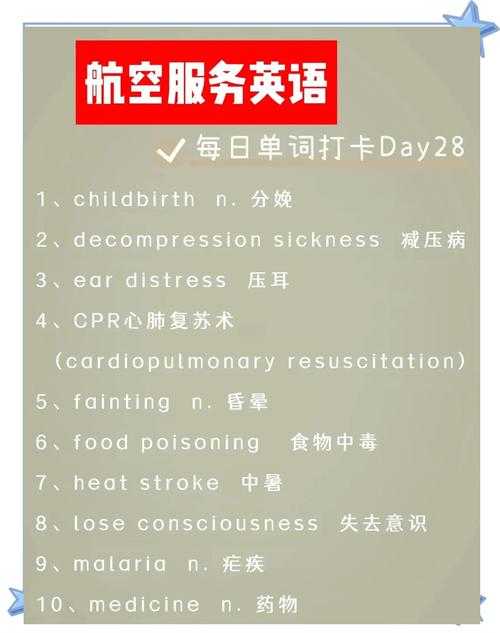 法国空姐英语服务指南:提升您的飞行体验
