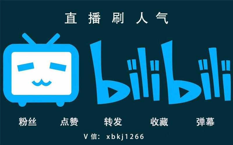 深夜偷偷刷B站的年轻人都在看什么？