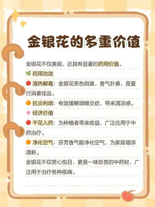 深度开发POP金银花新品种及高效栽培技术