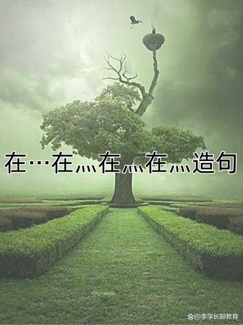 深度解析啊灬快灬深的情感表达方式