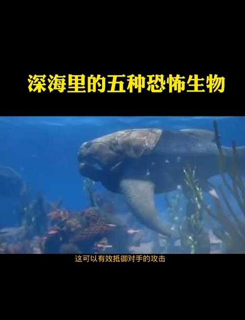 深海危机：全球海洋生态面临的致命威胁