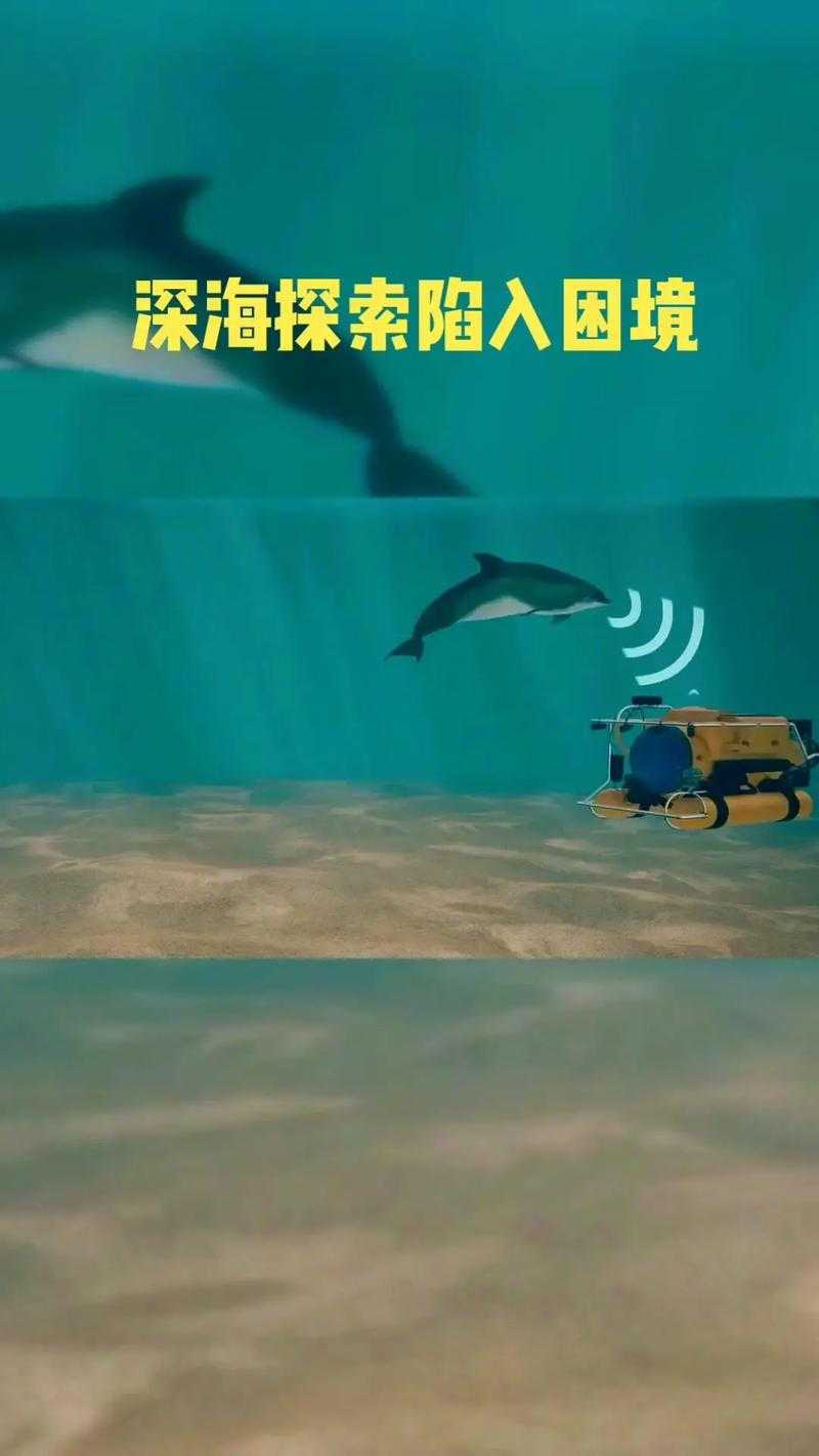 深海禁欲:探索未知领域的极致诱惑