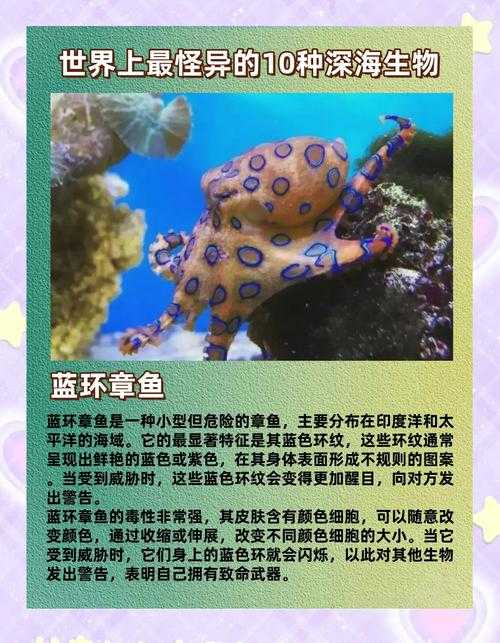 深海触手：揭秘海洋神秘生物的奇异世界
