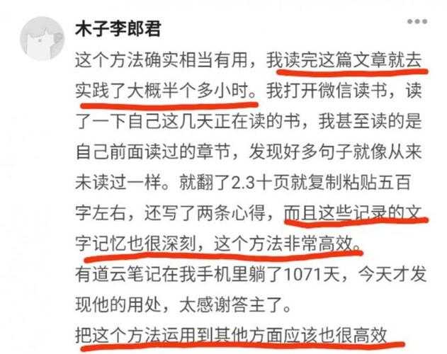 深耕细作TXT：高效文本处理与深度优化指南