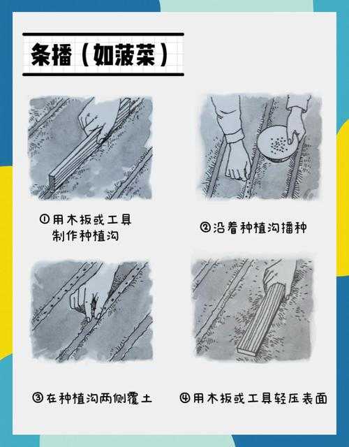 深耕细作妙妙:高效种植技巧全解析
